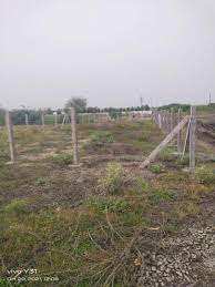 1350 Sq.ft. Agricultural/Farm Land for Sale in Nandikotkur Road, Kurnool