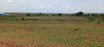 40 Acre Agricultural/Farm Land for Sale in Devanakonda, Kurnool