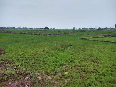 1000 Sq.ft. Residential Plot for Sale in Champa, Janjgir-Champa