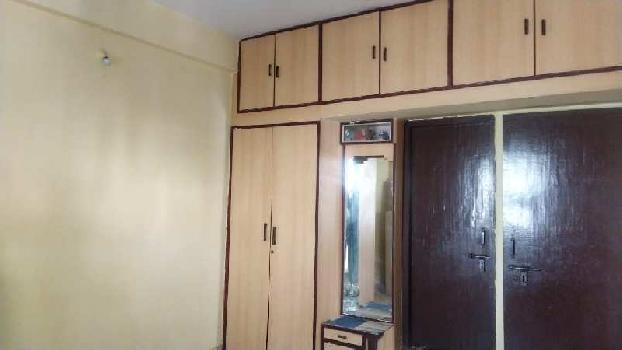 2 BHK Flats & Apartments for Rent in Gulmohar Colony, Bhopal