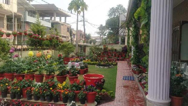2 BHK Individual Houses / Villas for Rent in Arera Colony, Bhopal