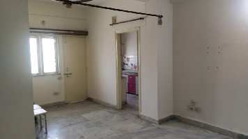 3 BHK Flats & Apartments for Rent in Gulmohar, Bhopal