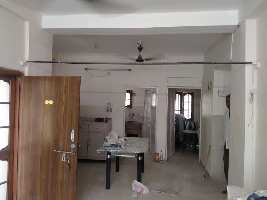 2 BHK Flats & Apartments for Rent in Shivaji Nagar, Bhopal