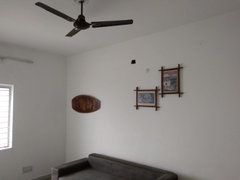 2 BHK Flats & Apartments for Rent in Shivaji Nagar, Bhopal
