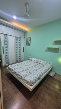 Flats & Apartments for Rent in Arera Colony, Bhopal (1000 Sq.ft.)