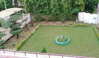 2 BHK Individual Houses / Villas for Rent in Bhadbhada Road, Bhopal