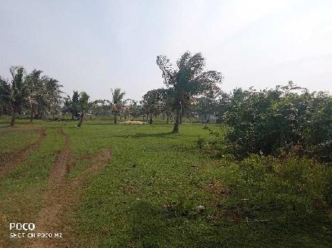 32 Cent Industrial Land / Plot for Sale in Amalapuram, East Godavari