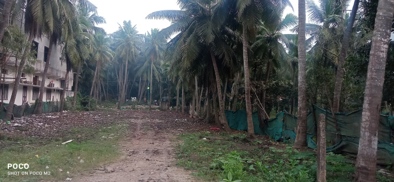 2 Acre Agricultural/Farm Land for Sale in Mummidivaram, East Godavari