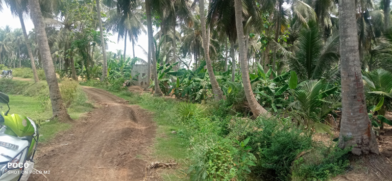 7 Acre Agricultural/Farm Land for Sale in Andhra Pradesh