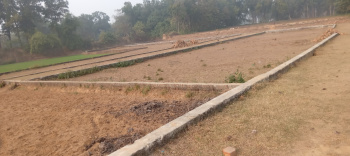 1000 Sq.ft. Residential Plot for Sale in Majhauli Raj, Deoria