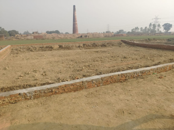 1000 Sq.ft. Residential Plot for Sale in Sukrauli, Kushinagar