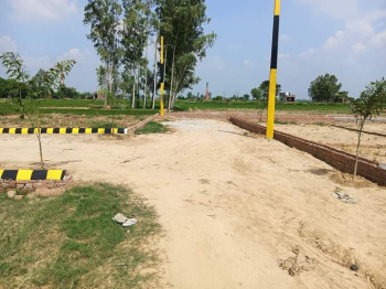 1000 Sq.ft. Residential Plot for Sale in Sukrauli, Kushinagar