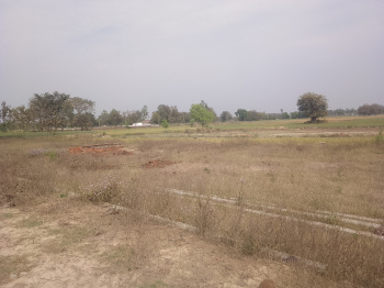 10000 Sq.ft. Residential Plot for Sale in Mohanlalganj, Lucknow