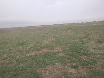 872 Sq.ft. Residential Plot for Sale in Majhauli Raj, Deoria