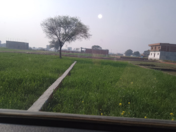 Residential Plot for Sale in Motiram Adda, Gorakhpur (1000 Sq.ft.)