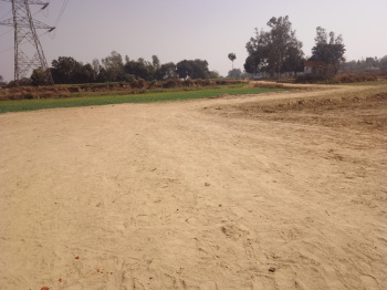 Residential Plot for Sale in Motiram Adda, Gorakhpur (1500 Sq.ft.)