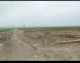 1000 Sq.ft. Residential Plot for Sale in Gulariha, Gorakhpur