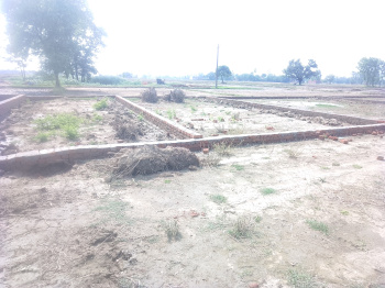 Property for sale in Tal Kandala, Gorakhpur