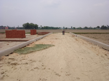 Residential Plot for Sale in Tal Kandala, Gorakhpur (1500 Sq.ft.)