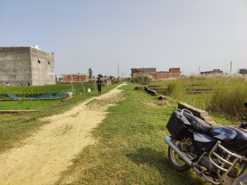 Residential Plot for Sale in Tal Kandala, Gorakhpur (2000 Sq.ft.)