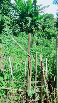 Property for sale in Mawpat, East Khasi Hills