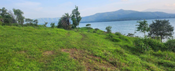 Plot for sale at kelawde near orchid resort