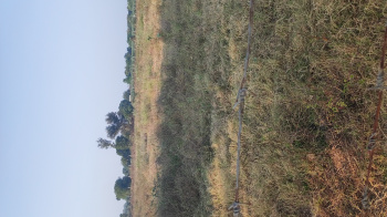 40 Acre Industrial Land / Plot for Sale in Padra, Vadodara