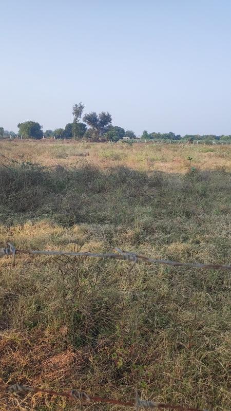 40 Acre Industrial Land / Plot for Sale in Padra, Vadodara
