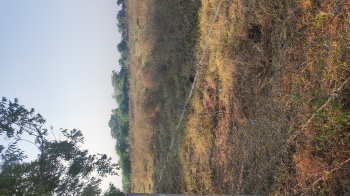 Property for sale in Dahej GIDC, Bharuch