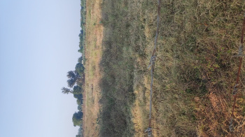 Property for sale in Dahej GIDC, Bharuch