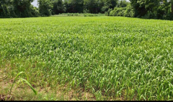 Property for sale in Tarapur, Anand