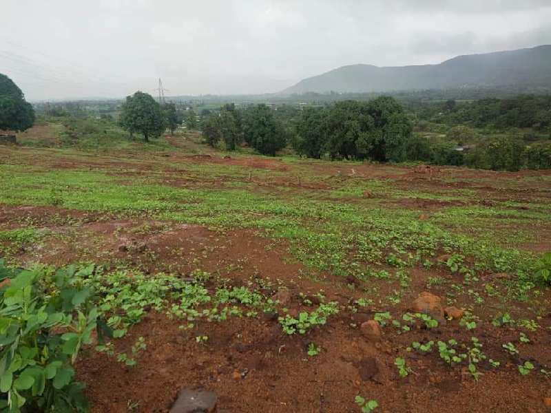 300000 Sq.ft. Agricultural/Farm Land for Sale in Sama Savli Road, Vadodara