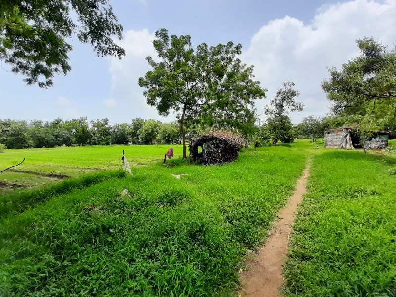 16000 Sq.ft. Agricultural/Farm Land for Sale in Mahapura, Vadodara