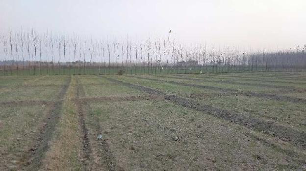 30 Bigha Agriculture farm land for sale near biharigarh Uttarakhand