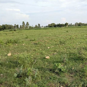 7 Bigha Agriculture farm land for sale Near biharigarh