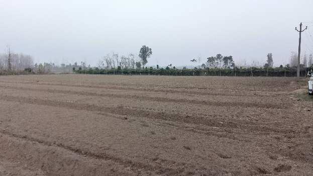 32 Bigha Agriculture farm land for sale Near biharigarh Dehradun
