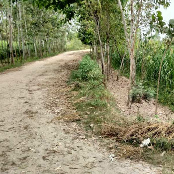 18 Bigha Agriculture farm land for sale Near biharigarh Dehradun Uttarakhand