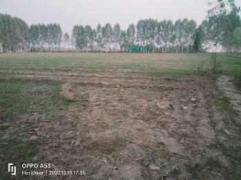 19 Bigha Agriculture farm land for sale Near Biharigarh.Dehradun