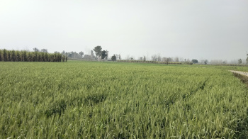 7 Bigha Agriculture farm land for sale Near Biharigarh Dehradun