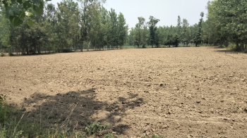 Property for sale in Biharigarh, Saharanpur