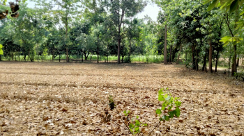 3 Bigha Agriculture farm land for sale Near Chhutmalpur Biharigarh saharanpur