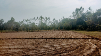 12 Bigha Agriculture farm land for sale Near Biharigarh Uttarakhand