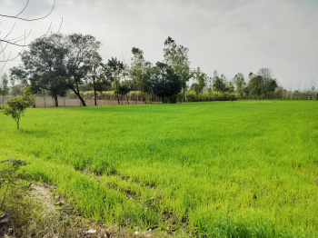 Property for sale in Chhutmalpur, Saharanpur