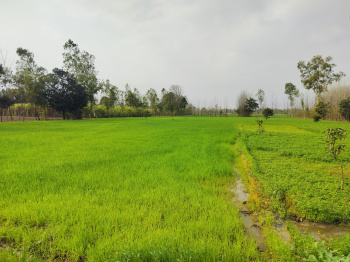 Property for sale in Chhutmalpur, Saharanpur