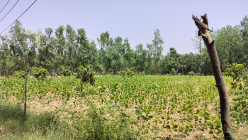 Property for sale in Chhutmalpur, Saharanpur