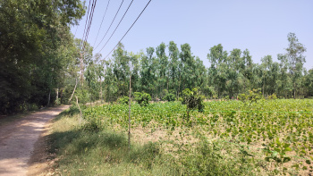 Property for sale in Chhutmalpur, Saharanpur