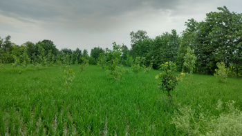 Property for sale in Chhutmalpur, Saharanpur