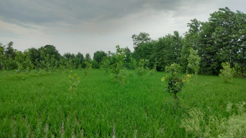 Property for sale in Chhutmalpur, Saharanpur