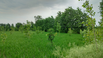 Property for sale in Chhutmalpur, Saharanpur