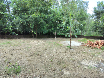 200 Square yards ( gaj) plot for sale Near Biharigarh